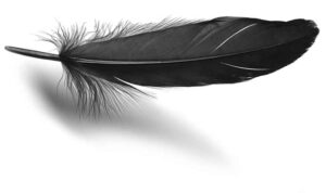 Black Crow Feather